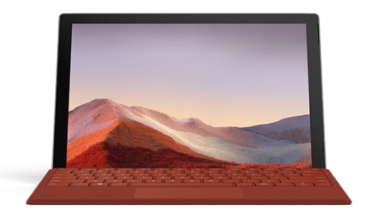芦淞清洁和维护 Surface
